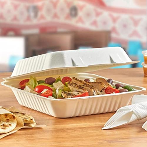 hefty-ecosave-hinged-lid-containers-9x9-inch-50-count-pack-of-2-100-total image 4