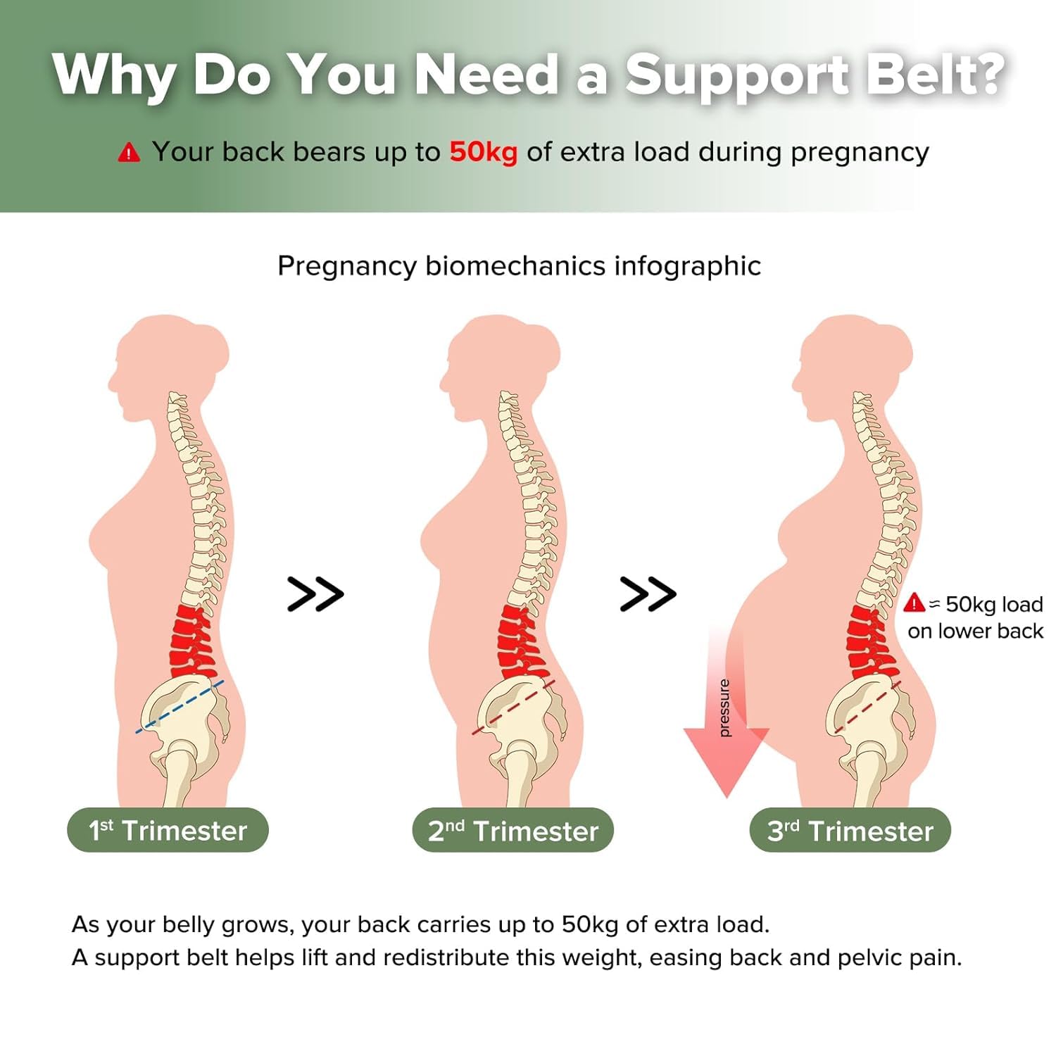 haakaa-maternity-support-belt-for-back-pain-pregnancy-belly-band-adjustable-one- image 2