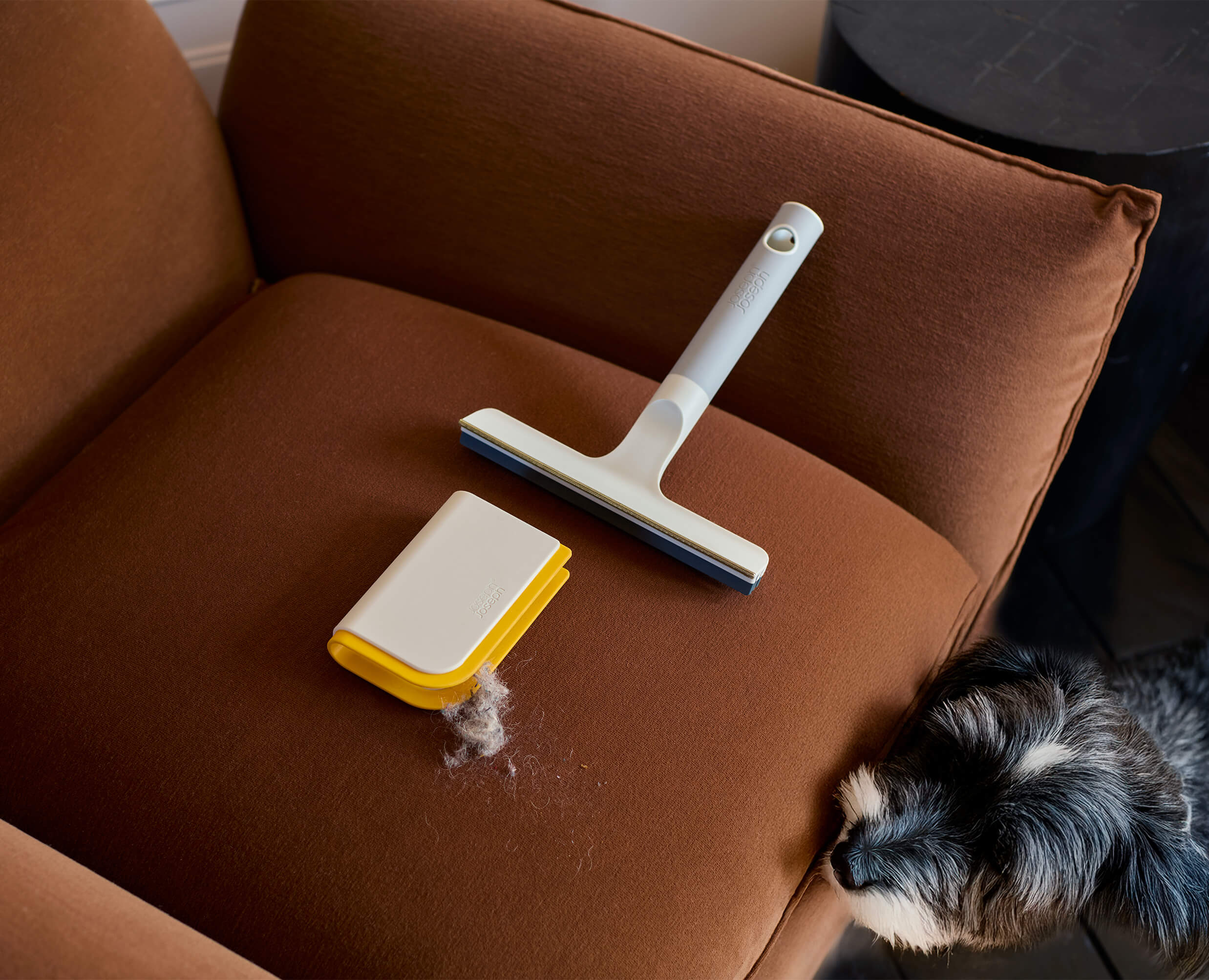 joseph-joseph-cleantech-pet-hair-carpet-cleaning-set image 3