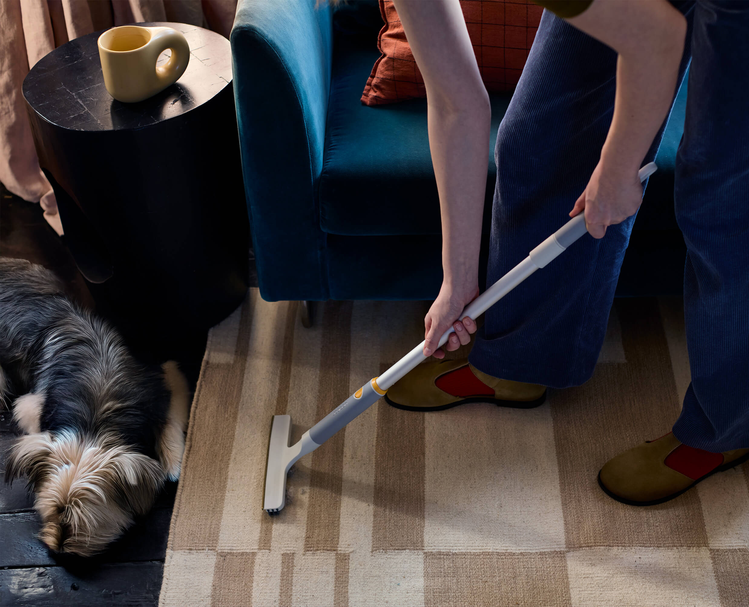 joseph-joseph-cleantech-pet-hair-carpet-cleaning-set image 4
