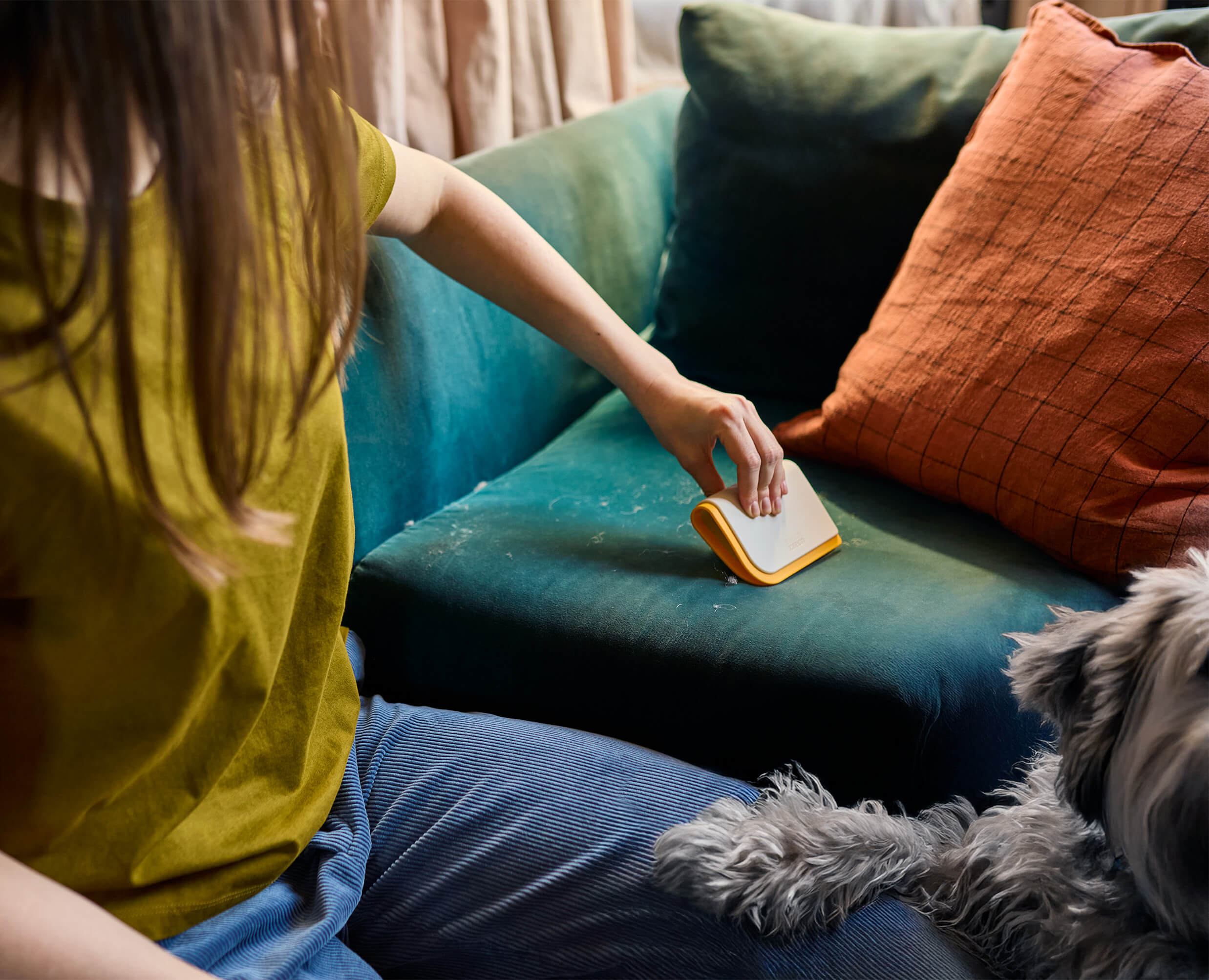joseph-joseph-cleantech-3-in-1-pet-hair-cleaning-tool image 2