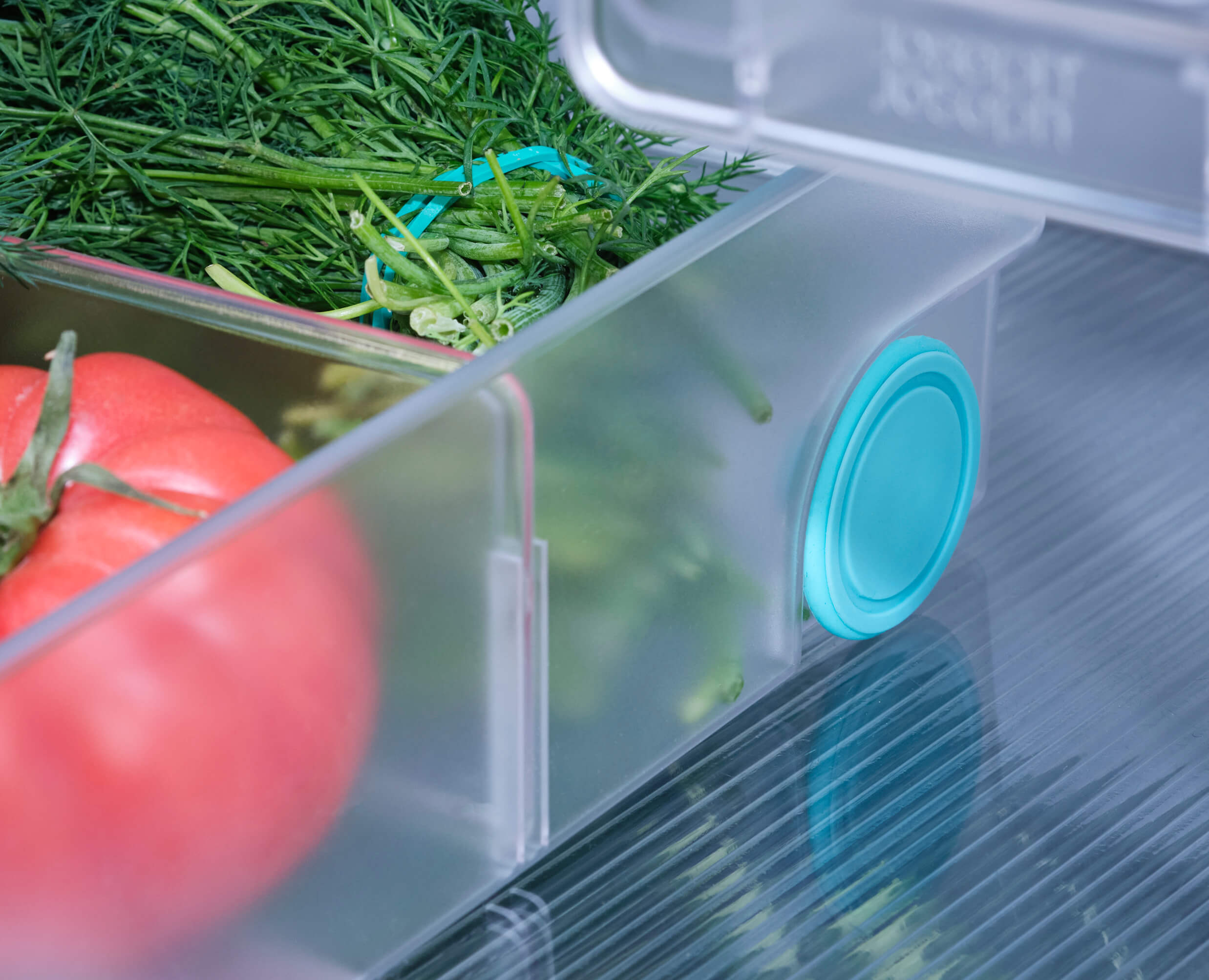 joseph-joseph-fridgestore-extra-large-storage-bin image 5