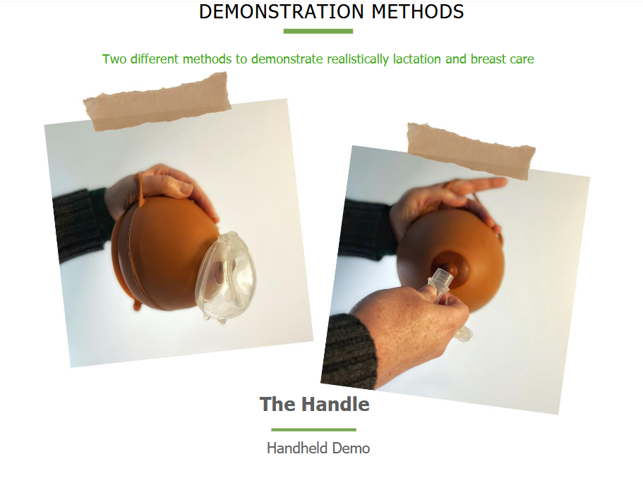 haakaa-silicone-lactation-demo-breast-1-pk image 6
