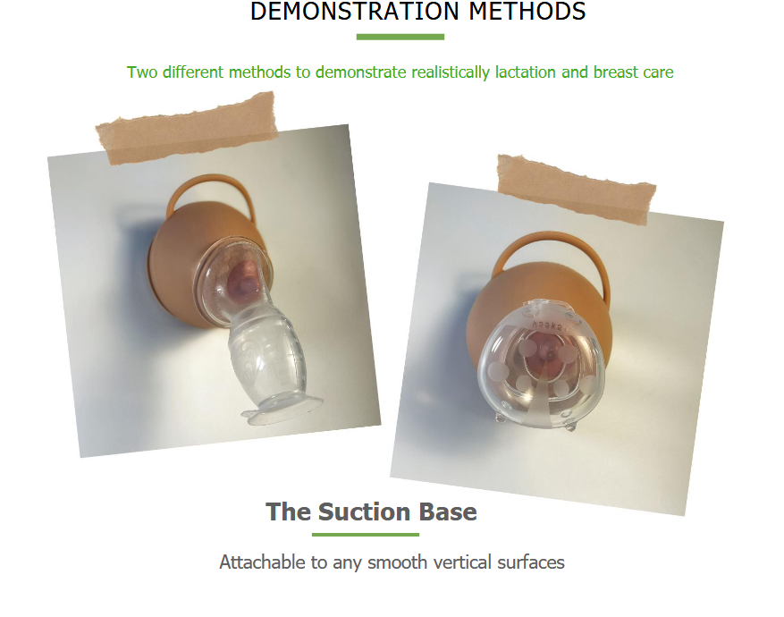 haakaa-silicone-lactation-demo-breast-1-pk image 5